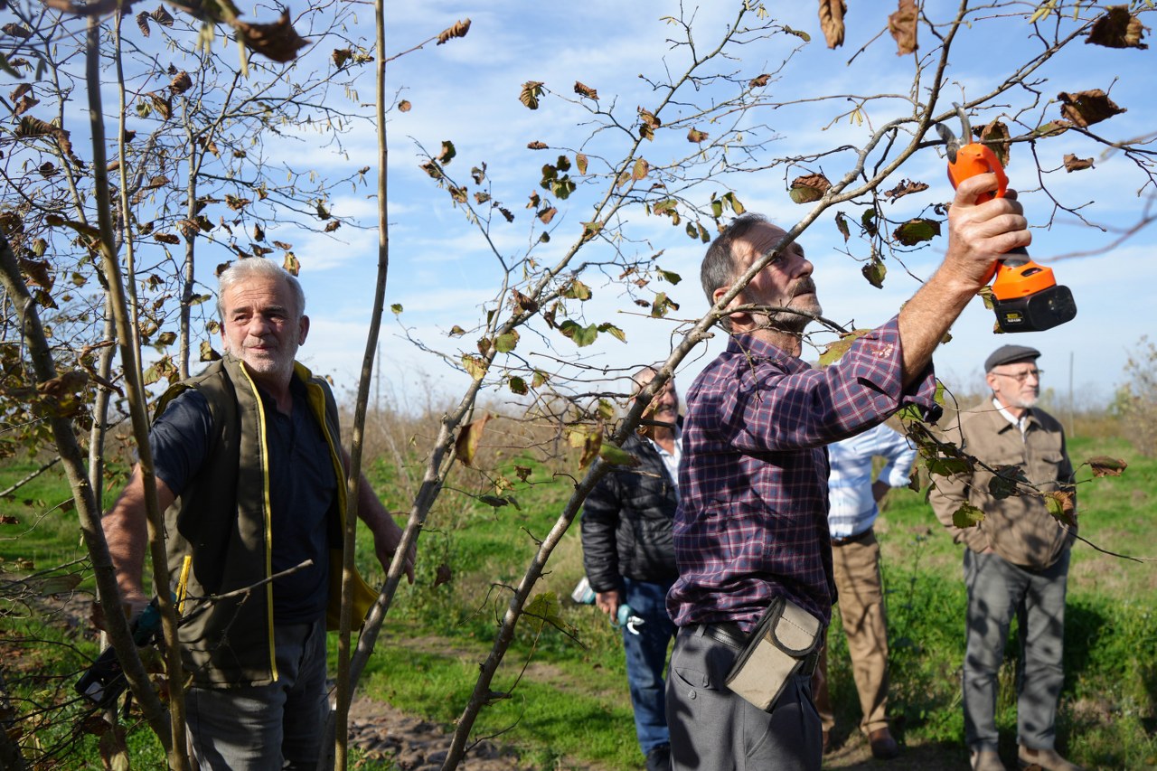 A W581793 03 1280X853