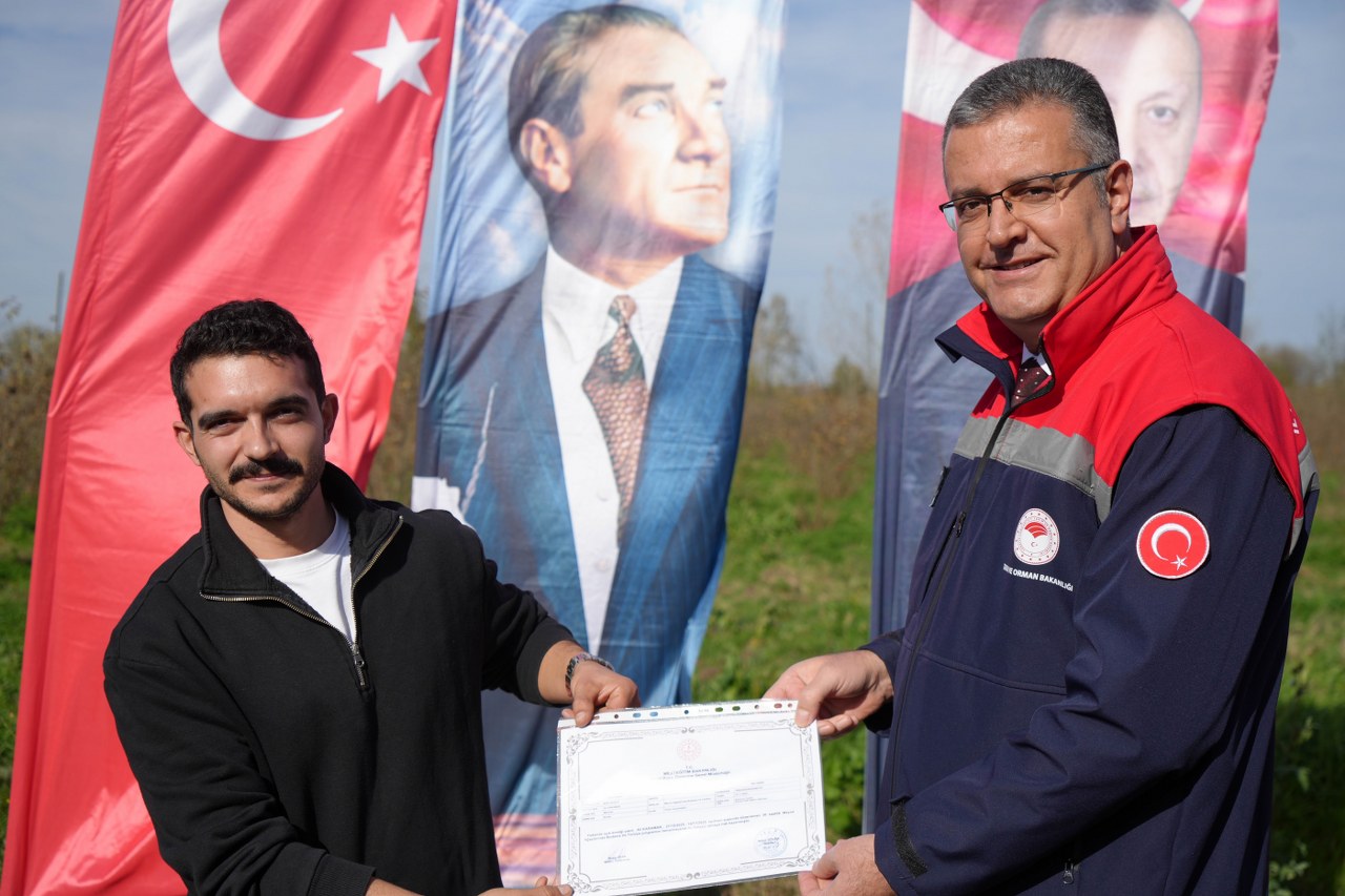 A W581793 04 1280X853