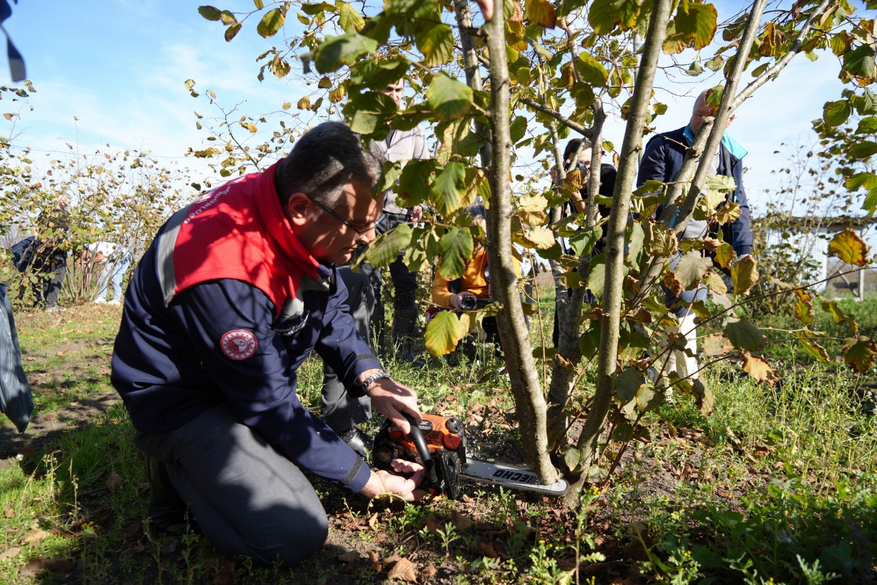 A W581793 07 1280X853