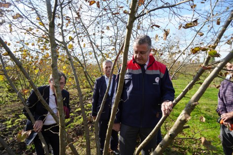 Fındıkta dengeler değişti: Samsun zirveye yetişti 