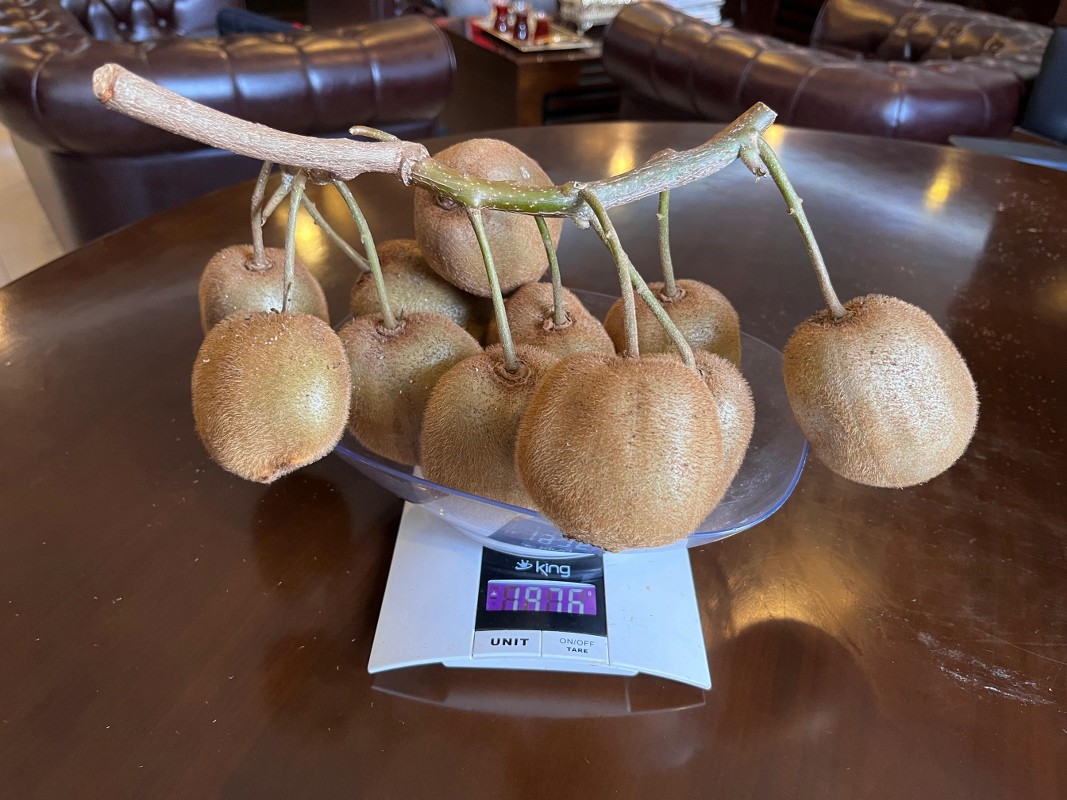 A W583464 01 1067X800