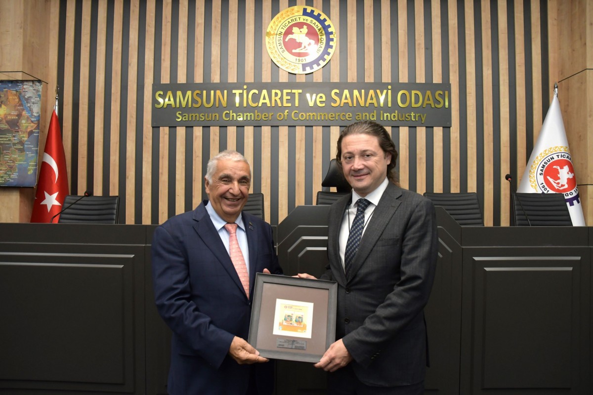 A W584151 06 1200X800