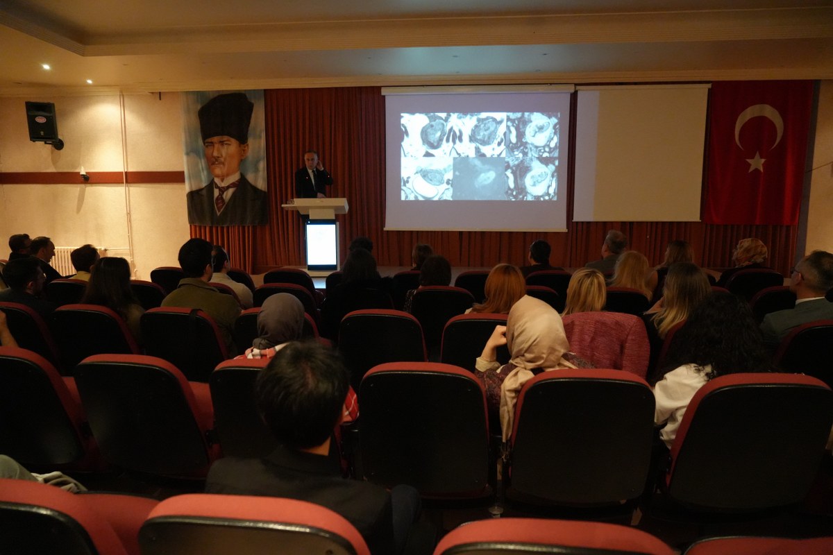 A W589540 07 1200X800