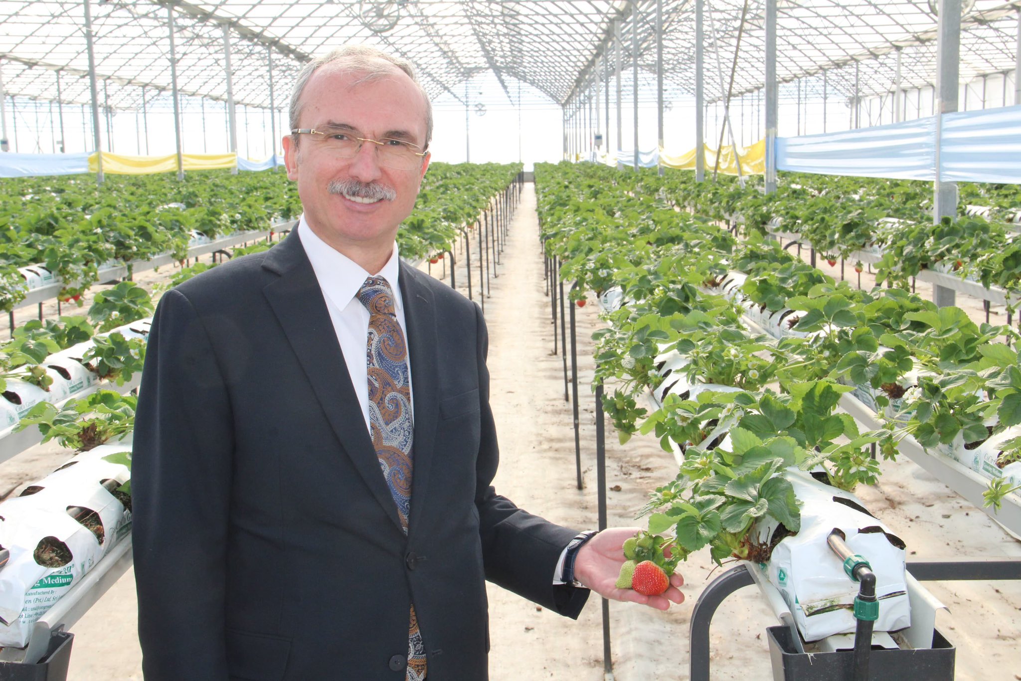 Orhan Kırcalı Bafra Sera OSB'de: Türkiye'nin yeşil dönüşüm üssü 