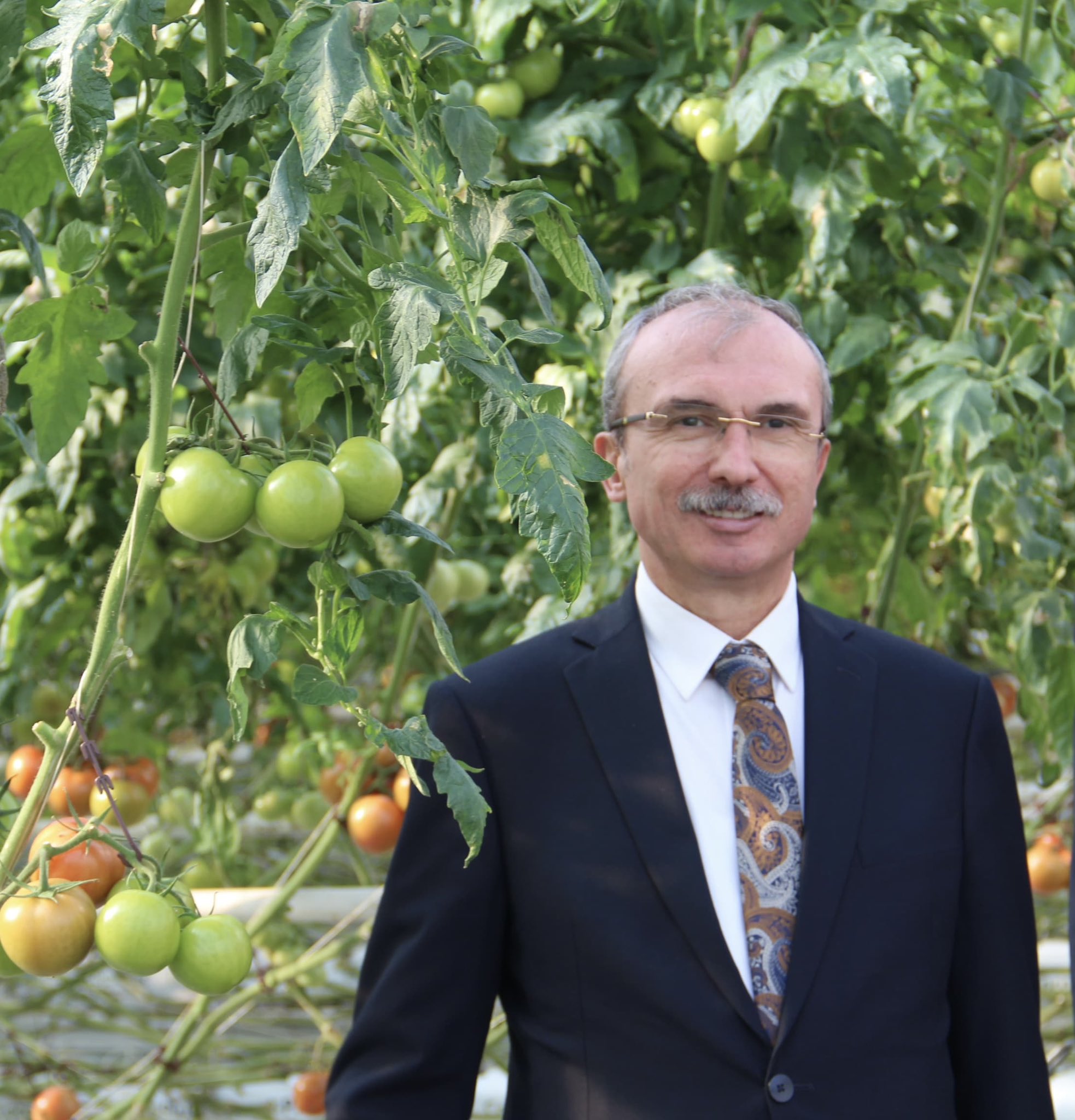 Orhan Kırcalı Bafra Sera OSB'de: Türkiye'nin yeşil dönüşüm üssü 