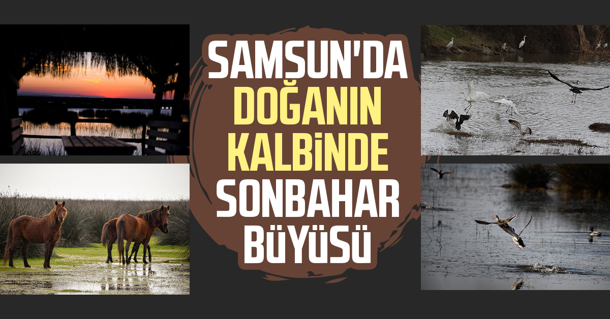 Samsun'da doğanın kalbinde sonbahar büyüsü