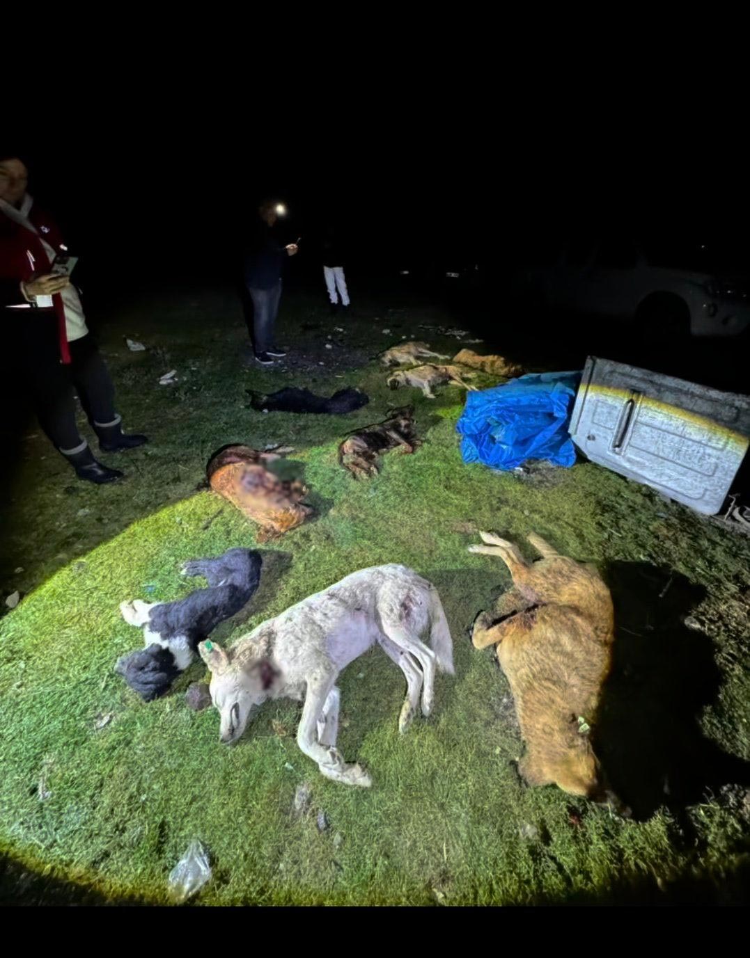 Samsunda Kan Donduran Goruntu 5