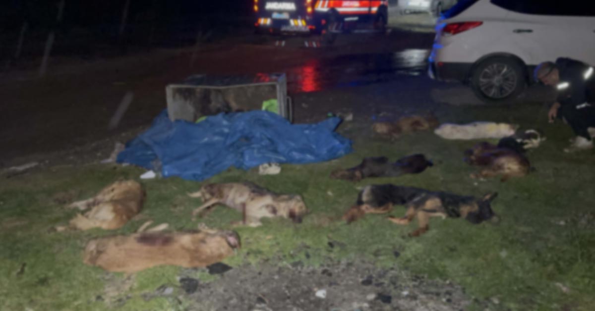 Samsunda Kan Donduran Goruntu Ic 1