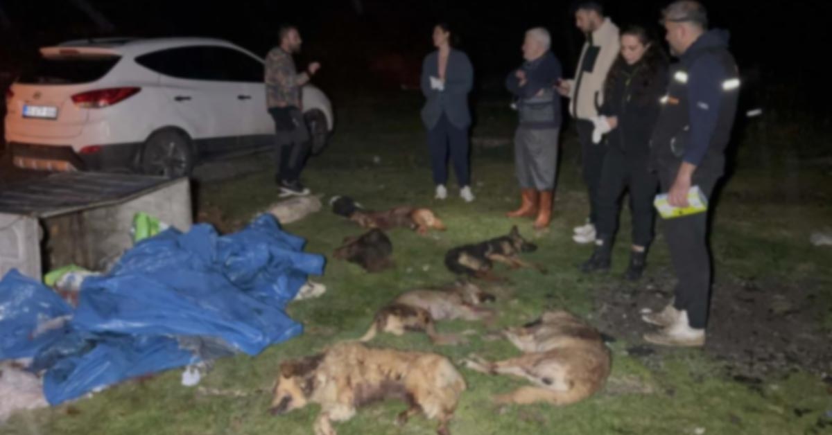 Samsunda Kan Donduran Goruntu Ic 3