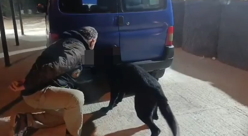 Samsun'da nokta atışı operasyon: TONY'den kaçamadılar