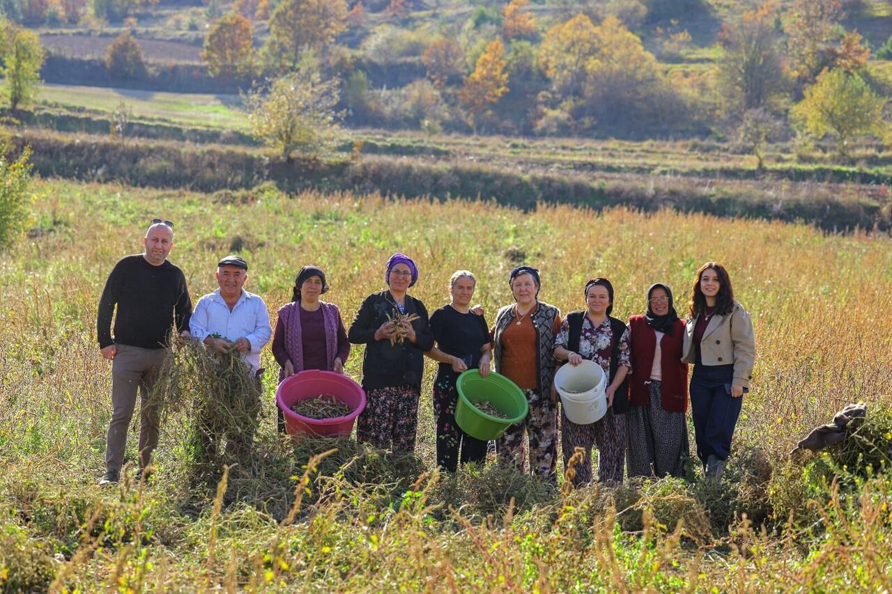 Whatsapp Image 2025 11 05 At 15.36.58