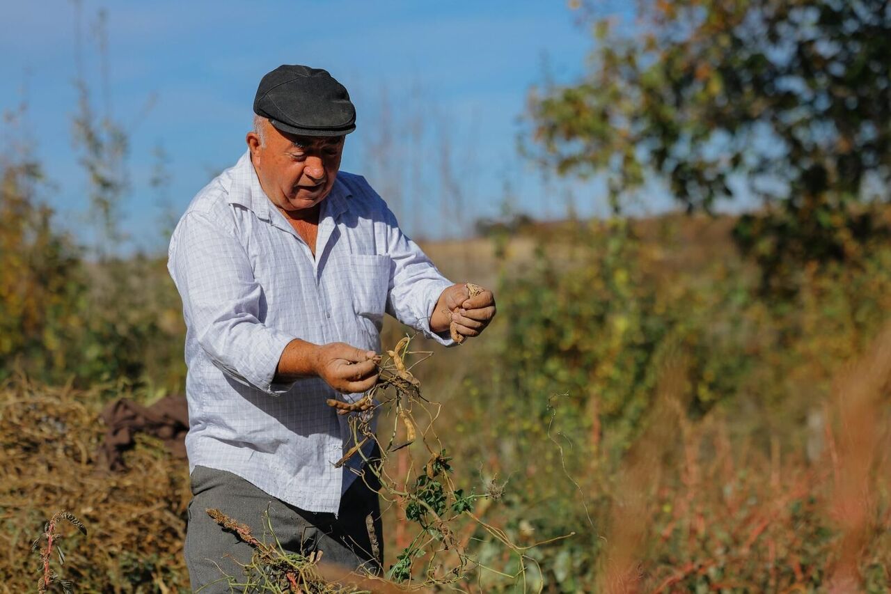 Whatsapp Image 2025 11 05 At 15.36.59 (1)