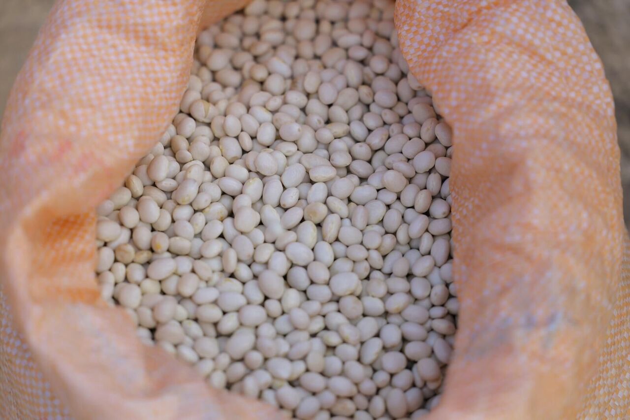 Whatsapp Image 2025 11 05 At 15.36.59