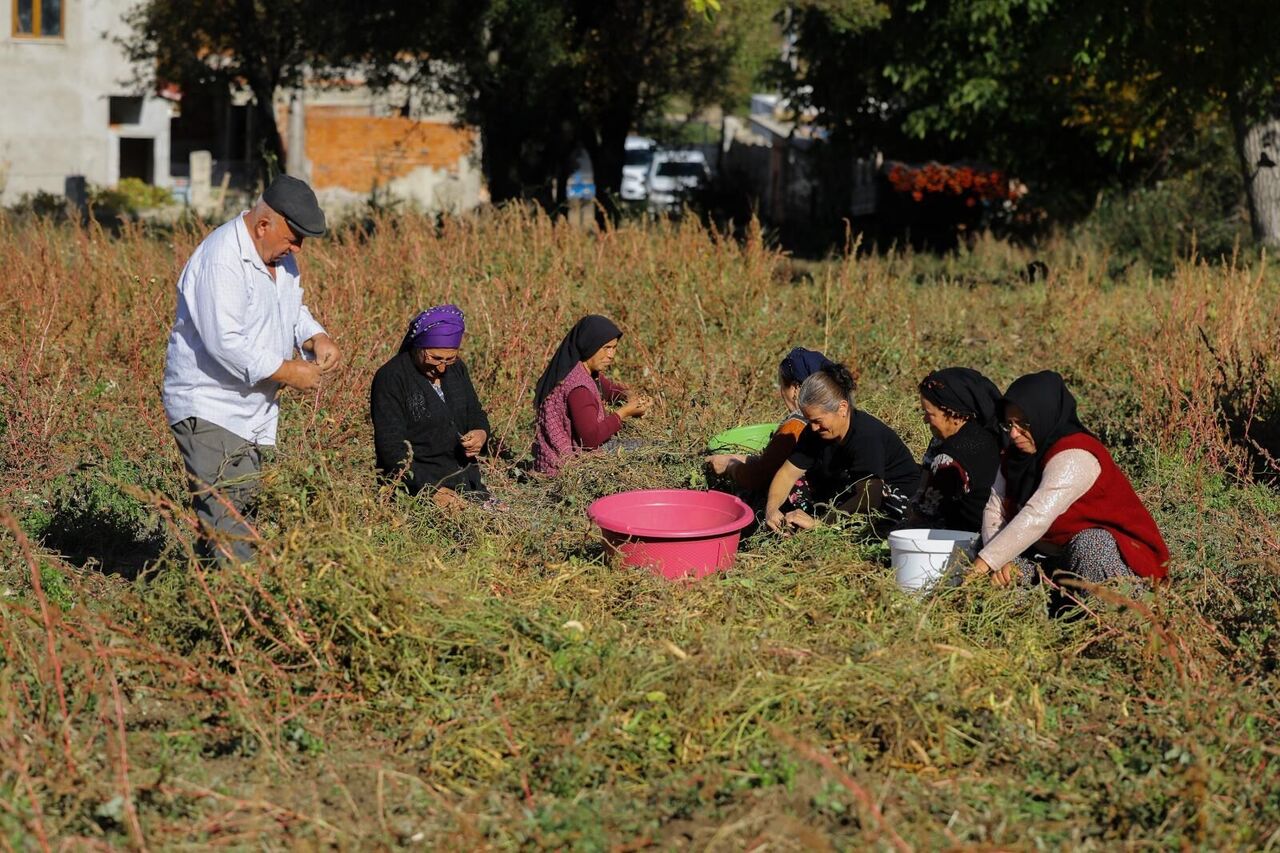 Whatsapp Image 2025 11 05 At 15.37.00 (2)