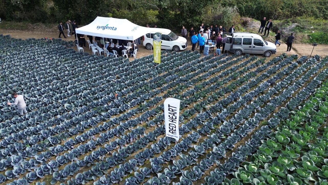 Samsun'da çiftçiler tarla gününde buluştu