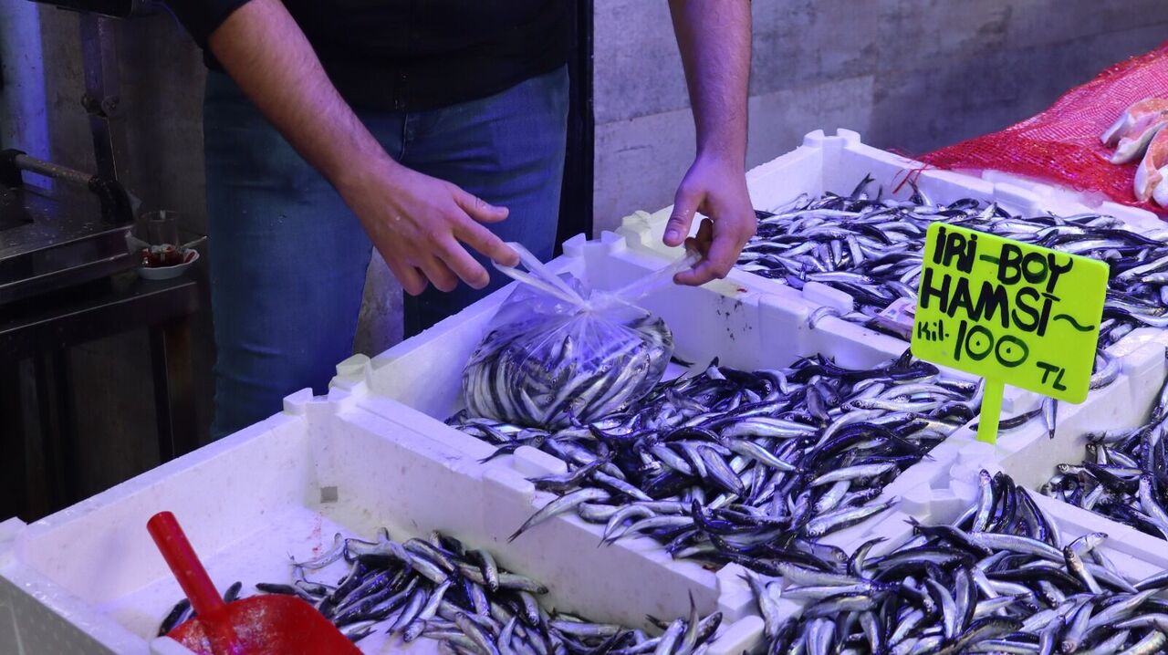 Samsun’da hamsi akını: Tezgahlar doldu!