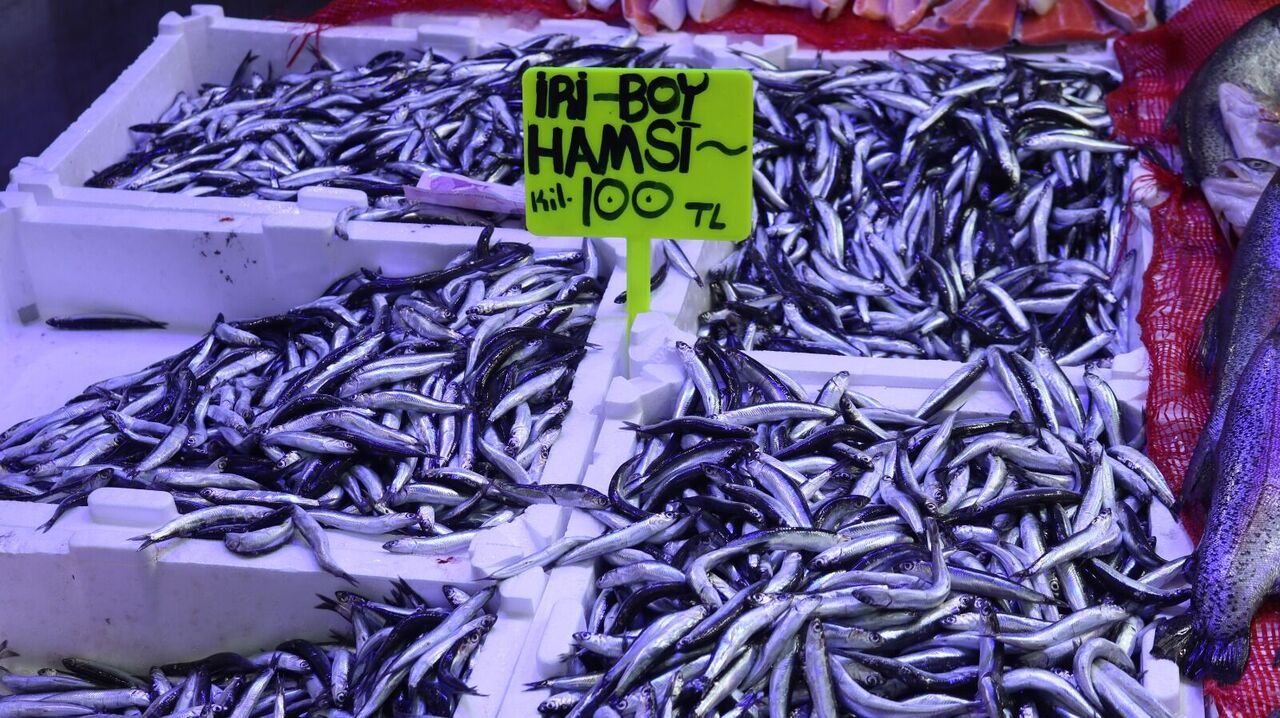 Samsun’da hamsi akını: Tezgahlar doldu!