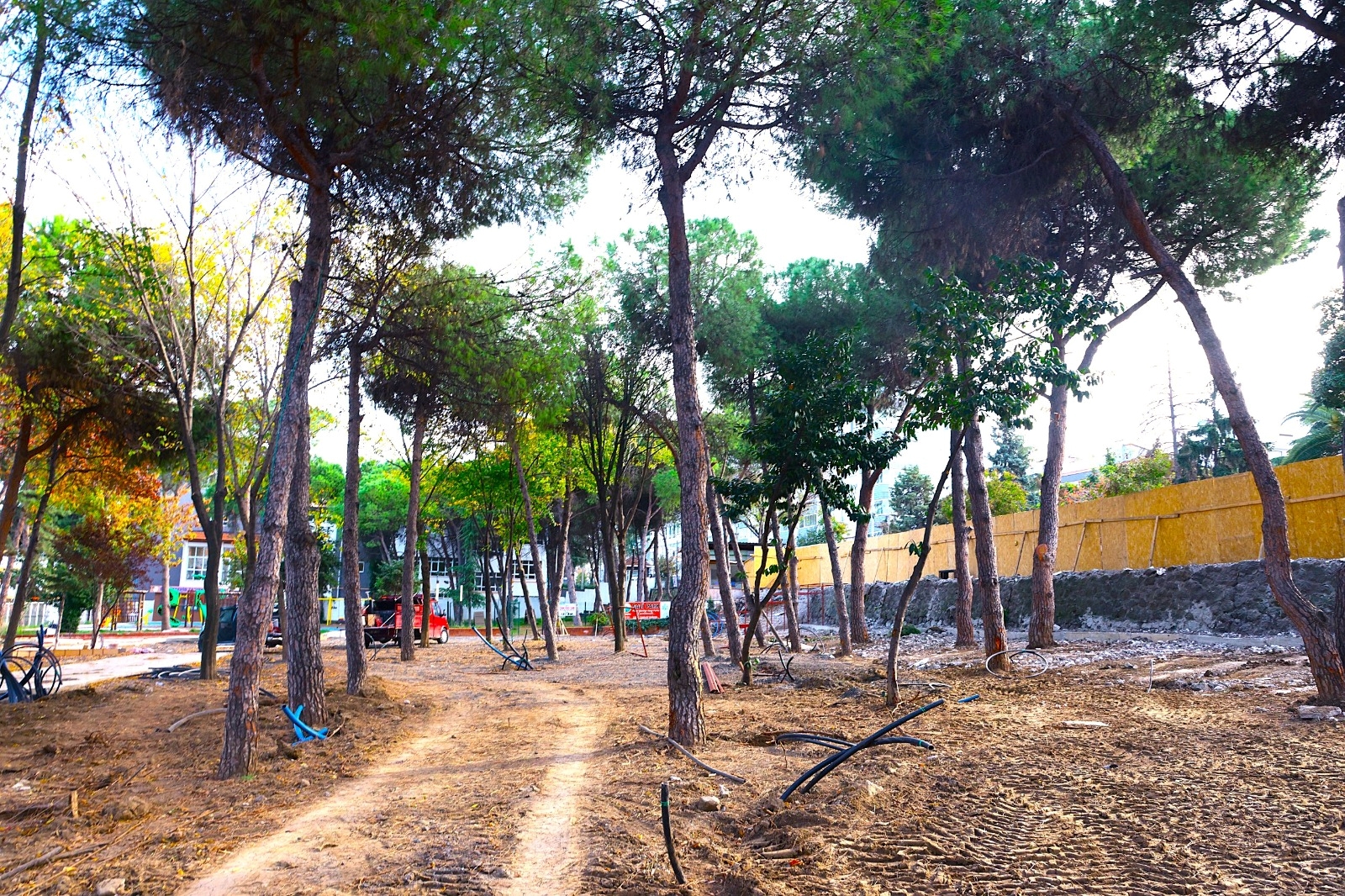 Whatsapp Image 2025 11 23 At 12.52.23