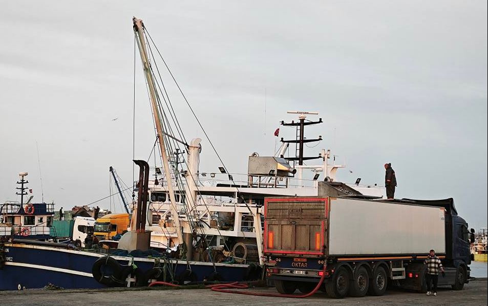 Samsun'da hamsi avına yakın ilgi!