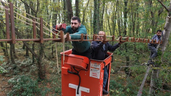 Samsun'da sincaplar için harekete geçildi! 