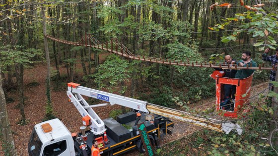Samsun'da sincaplar için harekete geçildi! 