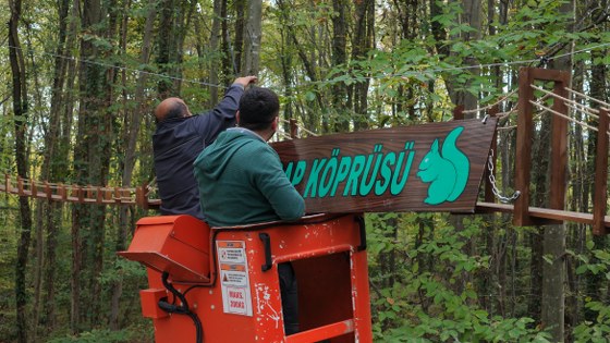 Samsun'da sincaplar için harekete geçildi! 