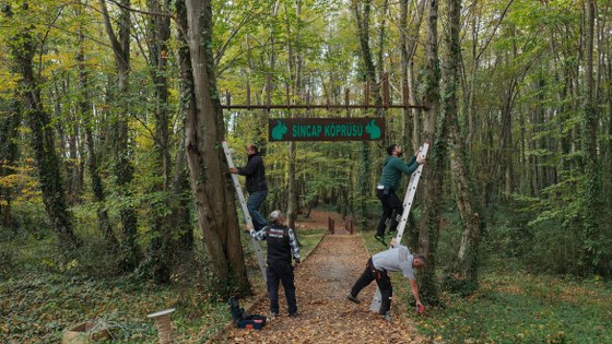 Samsun'da sincaplar için harekete geçildi! 