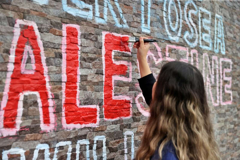 Sanatla direniş: OMÜ Kampüsünde Filistin için dayanışma duvarı