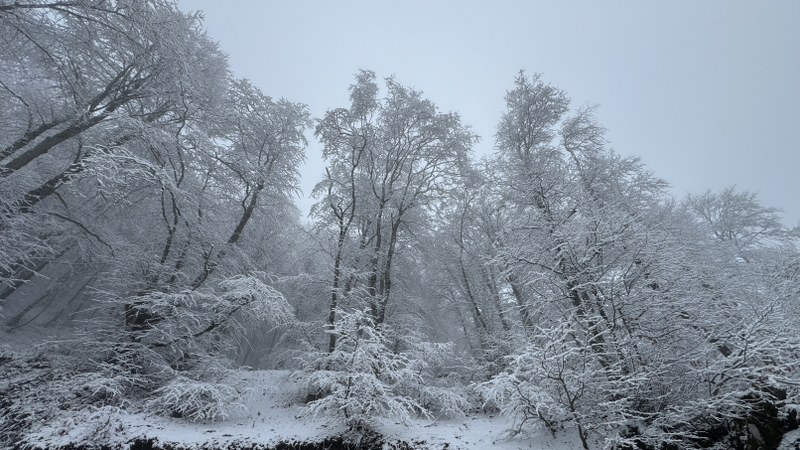 Karadeniz'de kar yağışı etkili oluyor