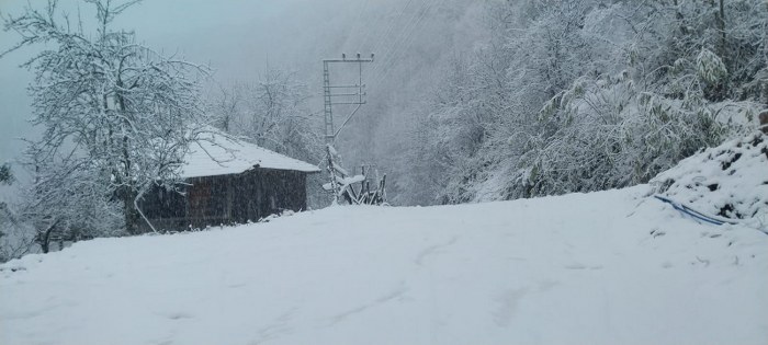 Samsun Salıpazarı'nda kar: Beyaz örtüyle kaplandı