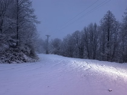 Samsun Salıpazarı'nda kar: Beyaz örtüyle kaplandı
