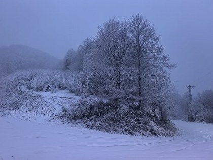 Samsun Salıpazarı'nda kar: Beyaz örtüyle kaplandı