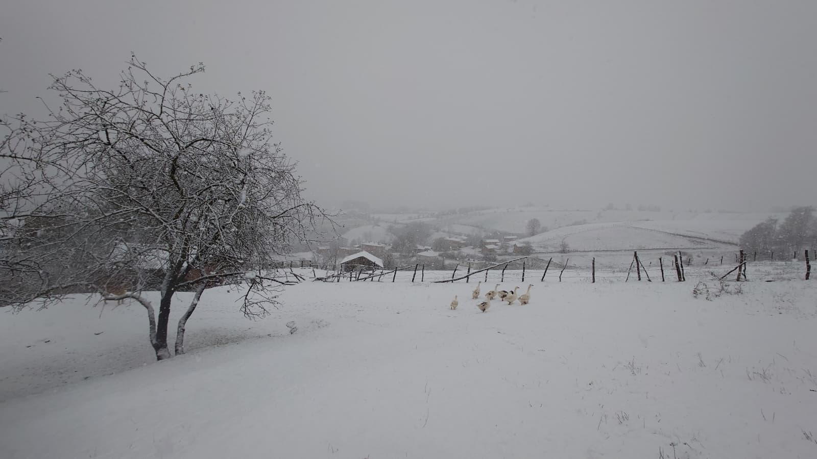 A A 20251216 39999168 39999167 S A M S U N U N A S A R C I K I L C E S I N E M E V S I M I N I L K K A R I D U S T U