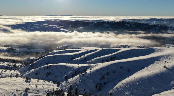 Kar ve sis buluştu: Samsun'da muhteşem görüntü