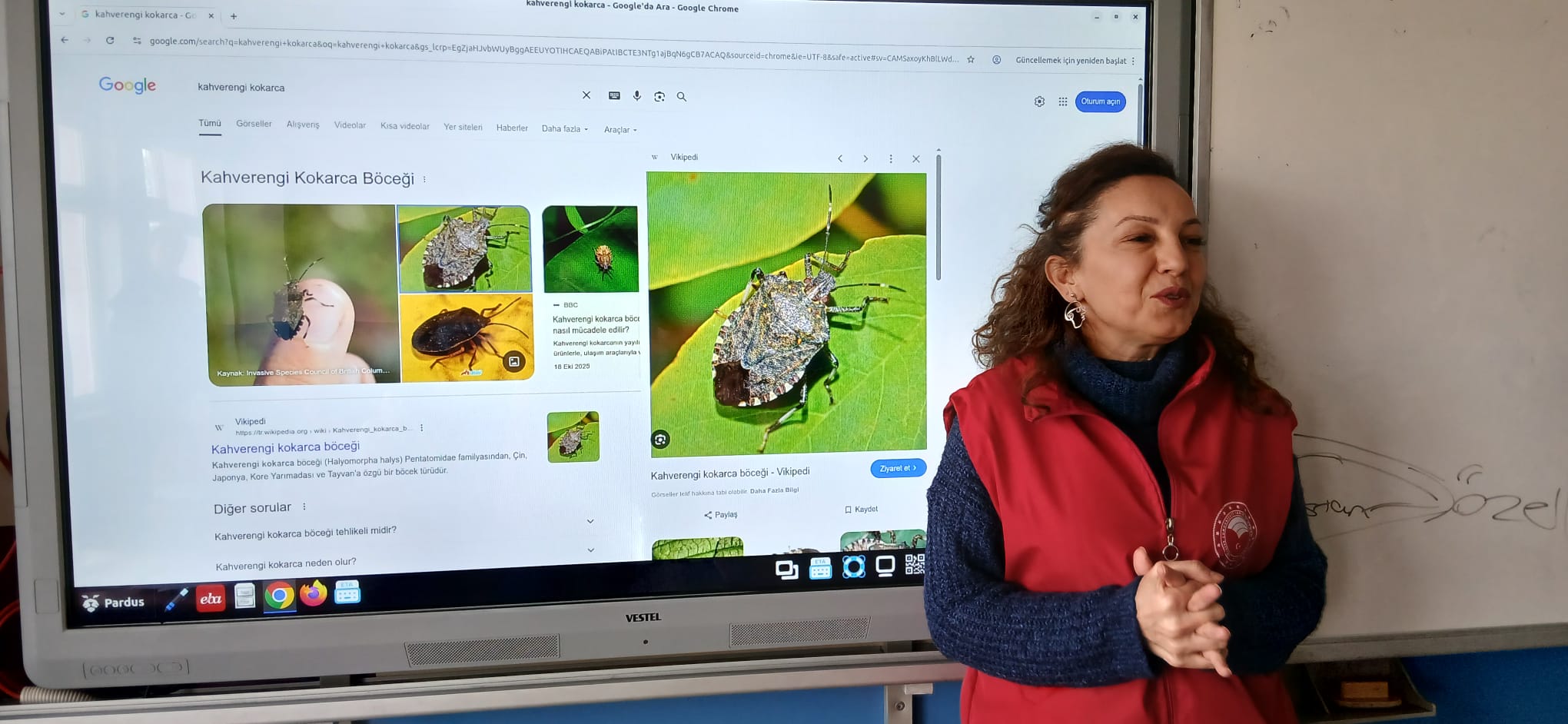 A A 20251220 40030326 40030324 19 M A Y I S I L C E S I N D E O K U L T A R I M E L E L E E T K I N L I G I Y A P I L D I