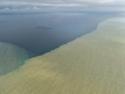 Samsun'da denizin rengi değişti: Olağandışı görüntü 