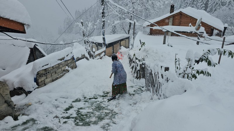 Karadeniz beyaza büründü! Kar yağışı etkili oluyor 