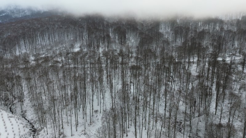 Samsun'un zirvesinde kar sevinci! Nebiyan Dağı beyaza büründü