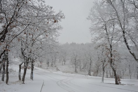 Samsun Havza'da kar yağışı etkili oluyor