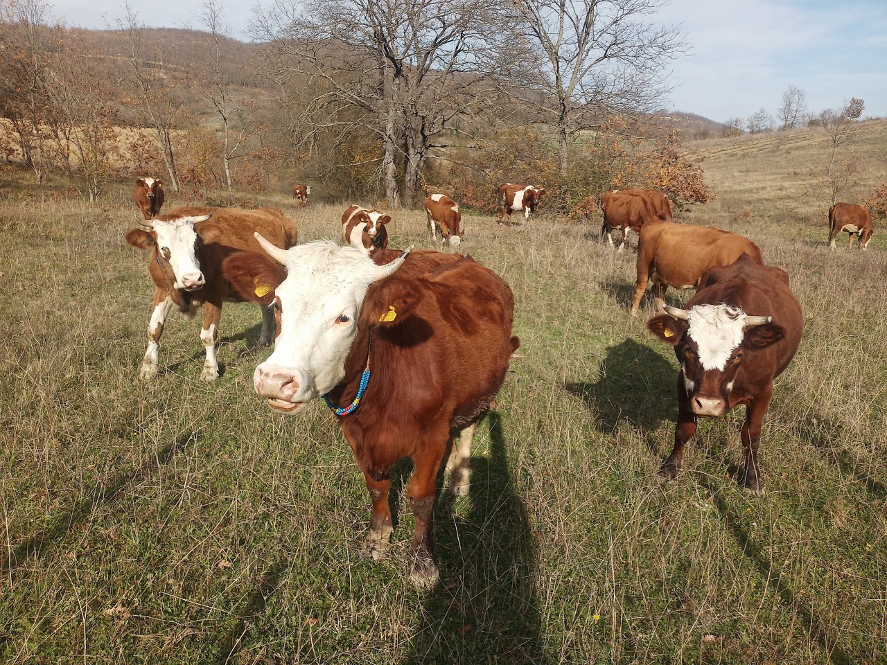 A W590997 01 1280X960