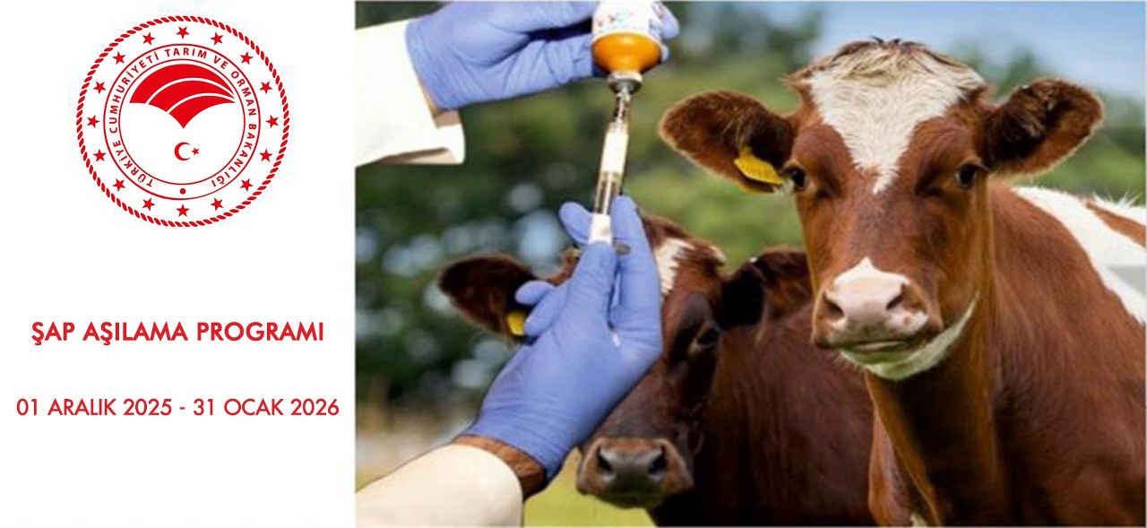 A W590997 02 1280X589