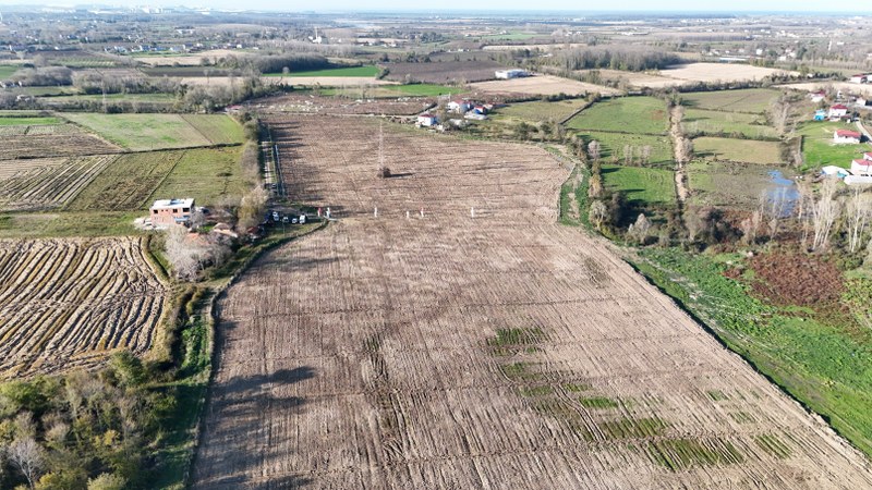 Samsun'de dev incir projesi: 50 milyon TL burs olacak!