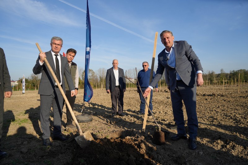 Samsun'de dev incir projesi: 50 milyon TL burs olacak!