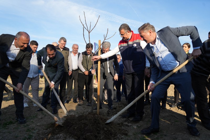 Samsun'de dev incir projesi: 50 milyon TL burs olacak!