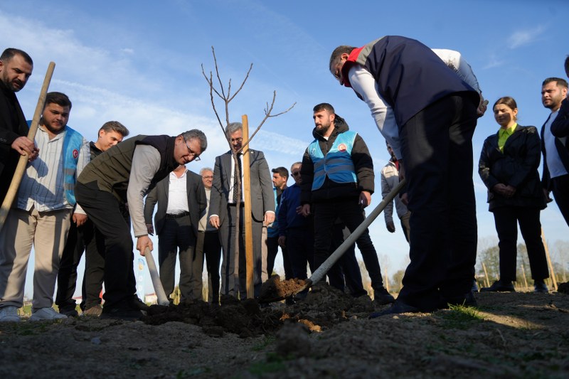 Samsun'de dev incir projesi: 50 milyon TL burs olacak!