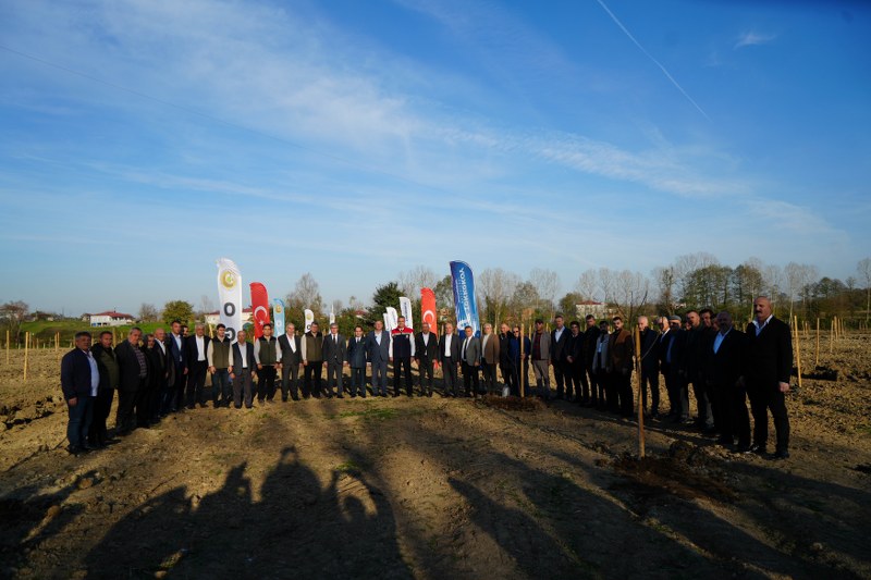 Samsun'de dev incir projesi: 50 milyon TL burs olacak!