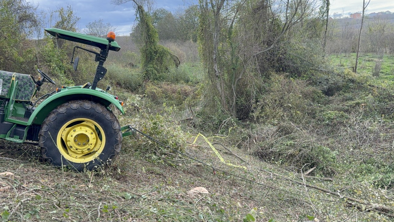 A W594638 03 1280X720