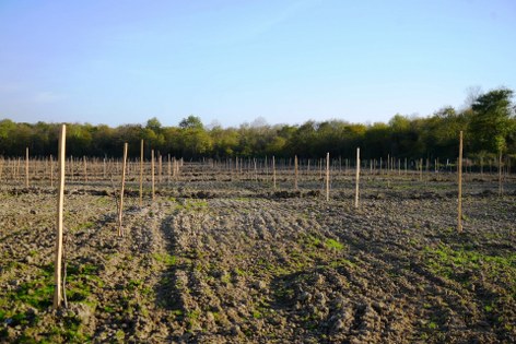 Başkan Candal: "Tasarrufla kaynak üretiyor, sosyal projeleri büyütüyoruz"