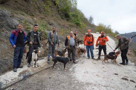 Samsun'da domuz alarmı! Acil çözüm çağrısı