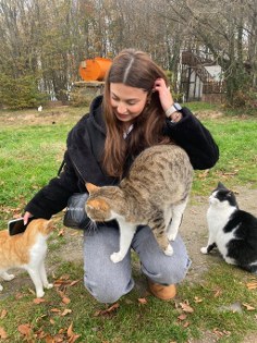 OMÜ öğrencileri sokak hayvanları için seferber oldu